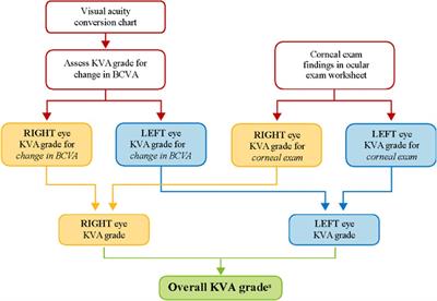 Semi-automation of keratopathy visual acuity grading of corneal events in belantamab mafodotin clinical trials: clinical decision support software